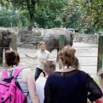 OsnaBRÜCKE - Familien Sommerfest Zoo